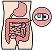 Capsule Endoscopy